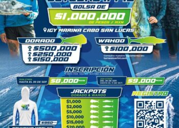 Programado para octubre el Torneo de Pesca Marlini 2025 en Los Cabos