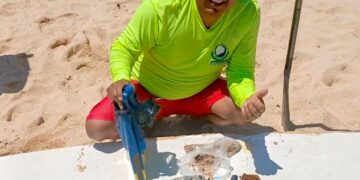 Guardavidas de ZOFEMAT Los Cabos realizan limpieza del fondo marino en Playa El Médano
