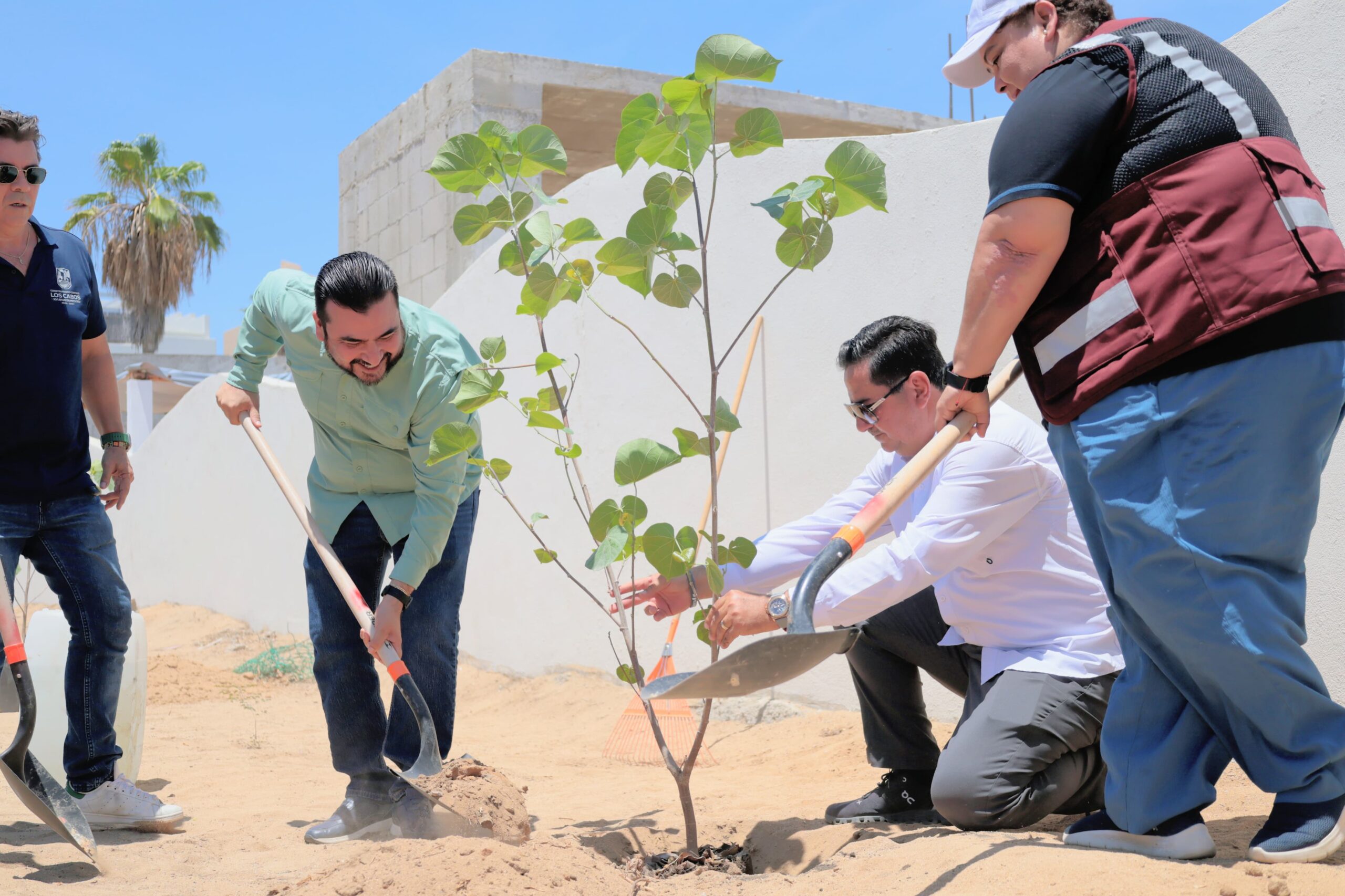 Inician Jornada de Reforestación
