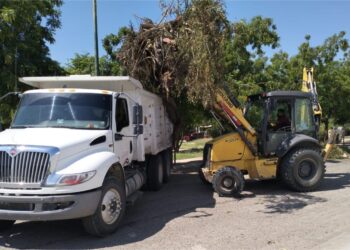 Continúan tareas de rehabilitación y mantenimiento de espacios públicos