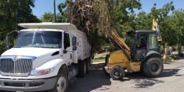 Continúan tareas de rehabilitación y mantenimiento de espacios públicos