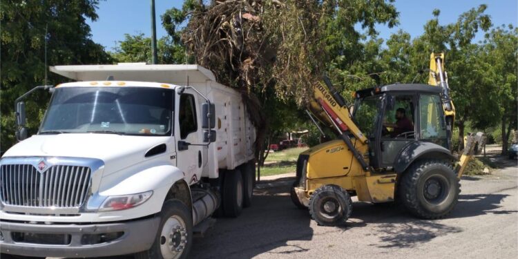 Continúan tareas de rehabilitación y mantenimiento de espacios públicos