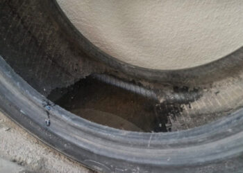 Recomienda IMSS Baja California Sur limpieza y desinfección en casa para evitar alergias