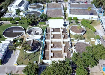 Implementan acciones para mejorar condiciones ambientales del Estero de San José del Cabo