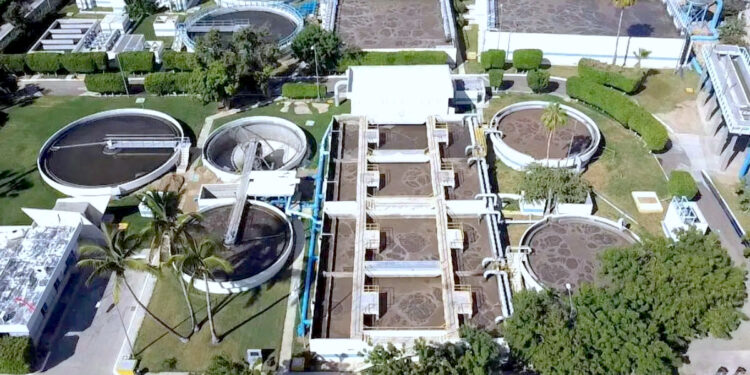 Implementan acciones para mejorar condiciones ambientales del Estero de San José del Cabo