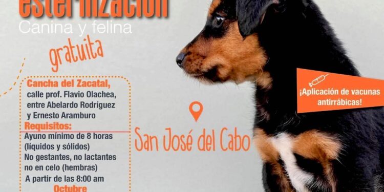 Realizarán campaña gratuita de esterilización y vacunación antirrábica en El Zacatal en San José del Cabo