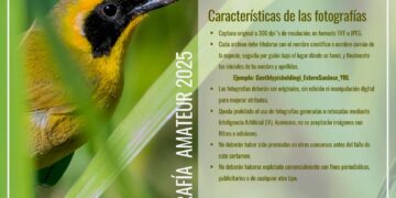 Convocan al Concurso de Fotografía del Primer Festival Internacional de las Aves Los Cabos 2025