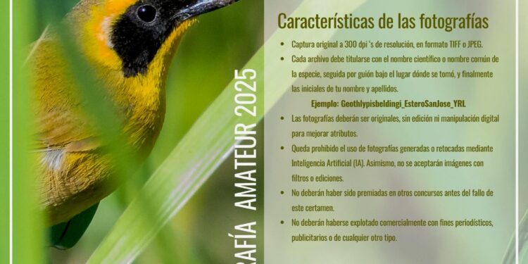Convocan al Concurso de Fotografía del Primer Festival Internacional de las Aves Los Cabos 2025