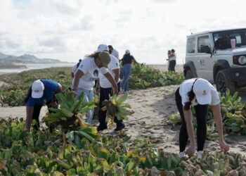 Fortalece Gobierno de Los Cabos acciones integrales para la conservación y cuidado del Estero de SJC
