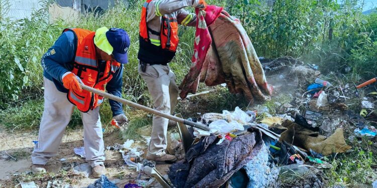 Refuerza Ayuntamiento de Los Cabos limpieza en colonia La Ballena con cuarta jornada comunitaria