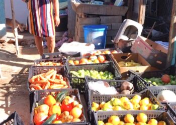 Entrega Delegación de Cabo San Lucas apoyo alimentario a más de 400 familias 