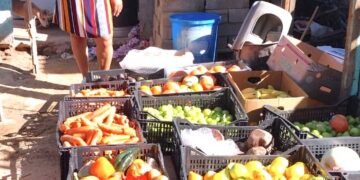 Entrega Delegación de Cabo San Lucas apoyo alimentario a más de 400 familias 