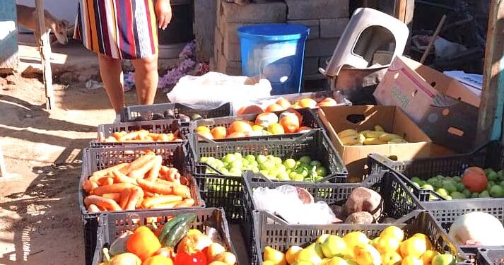 Entrega Delegación de Cabo San Lucas apoyo alimentario a más de 400 familias 