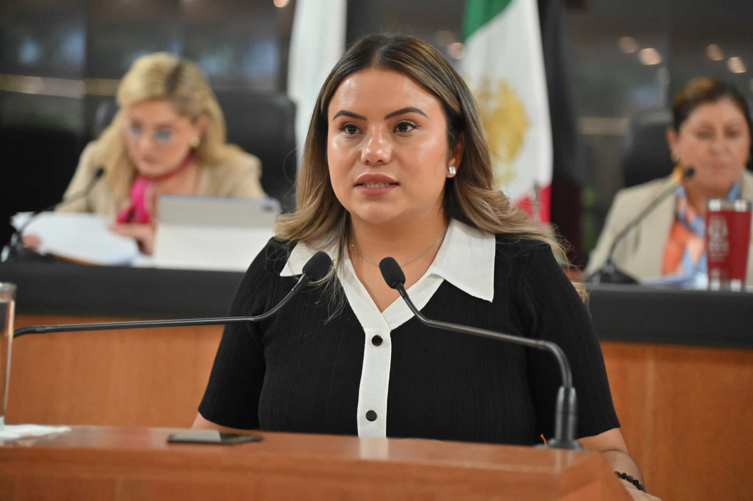 Proponen reformas para garantizar una defensa contra los daños que le cause la actividad irregular del Estado al ciudadano