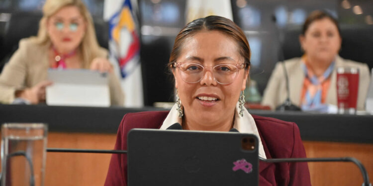 Urge adecuar una asignatura, en prevención de delitos cibernéticos y seguridad digital: Diputada Teresita Valentín