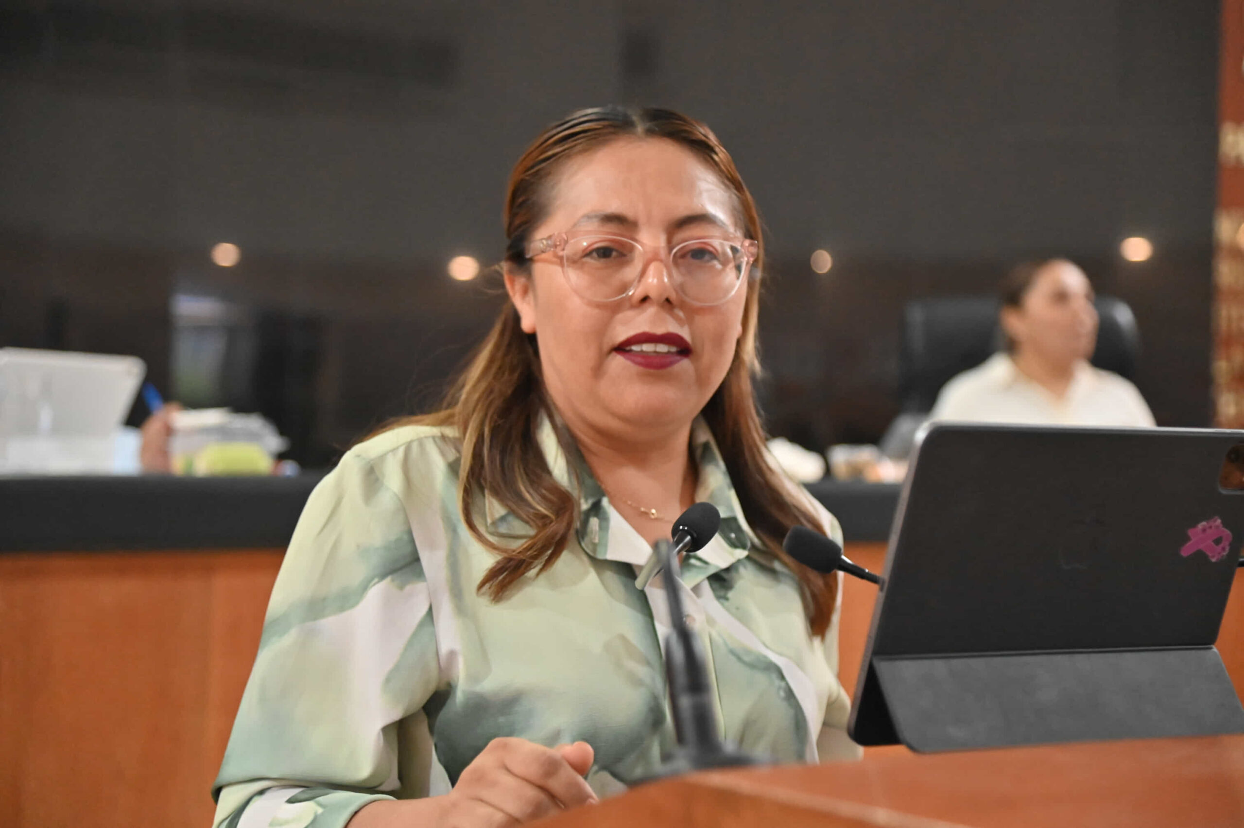 Proponen armonizar el marco jurídico de Ley Estatal de Austeridad en materia de compra de bienes 