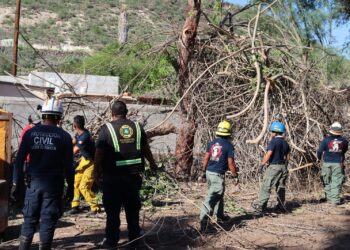 Agradecen ayuda humanitaria enviada por el Ayuntamiento de Los Cabos en apoyo a Mulegé