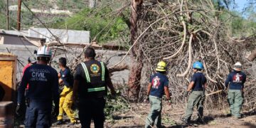 Agradecen ayuda humanitaria enviada por el Ayuntamiento de Los Cabos en apoyo a Mulegé