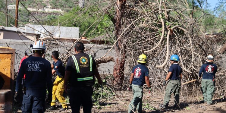 Agradecen ayuda humanitaria enviada por el Ayuntamiento de Los Cabos en apoyo a Mulegé