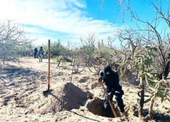Continúan las acciones de búsqueda de personas desaparecidas 