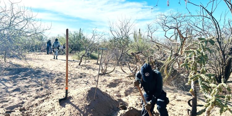 Continúan las acciones de búsqueda de personas desaparecidas 