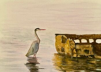 Presentará artista sudcaliforniana la exposición “Acuarelas en Retrospectiva”