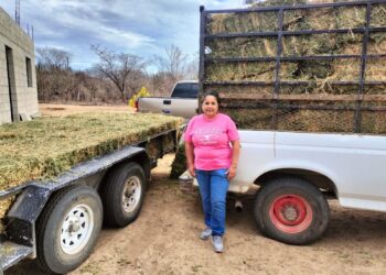 Avanza en un 80 por ciento las entregas de apoyos a productores sudcalifornianos