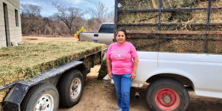 Avanza en un 80 por ciento las entregas de apoyos a productores sudcalifornianos