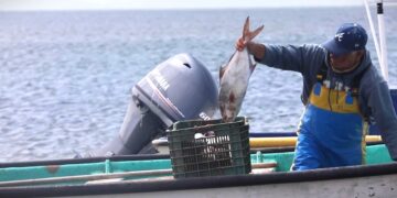 Avanza BCS en la transformación del sector pesquero y acuícola