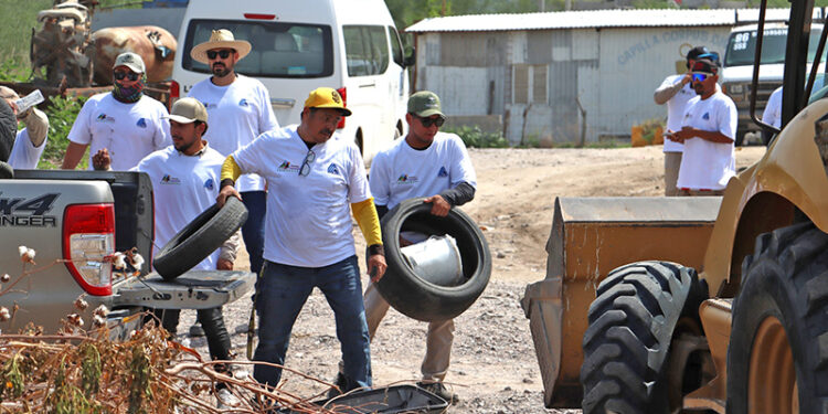 Realiza sector salud jornadas de descacharrización contra el dengue en La Paz