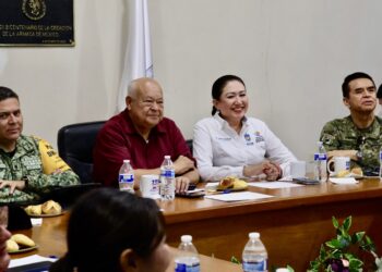 Consejo Estatal de Protección Civil reporta afectaciones menores por “Lorena”