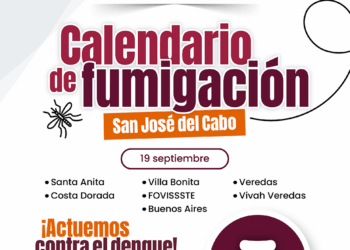 Iniciará este viernes el ciclo de fumigación contra el mosco transmisor del dengue en Los Cabos 