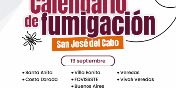 Iniciará este viernes el ciclo de fumigación contra el mosco transmisor del dengue en Los Cabos 