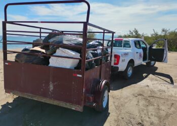 Recolecta Zofemat más de 5 toneladas de residuos en playas y zonas costeras de La Paz