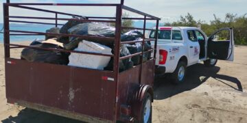 Recolecta Zofemat más de 5 toneladas de residuos en playas y zonas costeras de La Paz