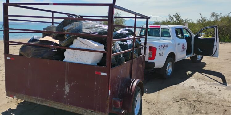 Recolecta Zofemat más de 5 toneladas de residuos en playas y zonas costeras de La Paz
