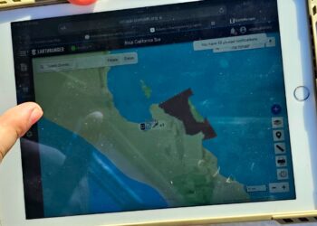 Se realiza prueba exitosa del Sistema de Monitoreo para Avistamiento y Nado con Orcas en La Paz