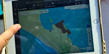 Se realiza prueba exitosa del Sistema de Monitoreo para Avistamiento y Nado con Orcas en La Paz