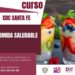 DIF La Paz invita a cursos gratuitos en el CDC de la colonia Santa Fe