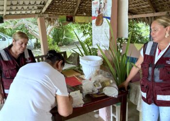 Acercan apoyos alimentarios y atención ciudadana a familias de Miraflores