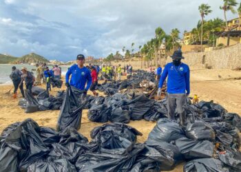 Unen esfuerzos Ayuntamiento de Los Cabos y ciudadanía para limpiar playa El Médano tras huracán “Lorena”