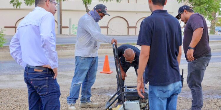 Supervisa oficial mayor de Los Cabos trabajos de rehabilitación sobre carretera Transpeninsular 