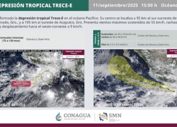 Protección Civil Los Cabos mantiene seguimiento de la Depresión Tropical Trece-E