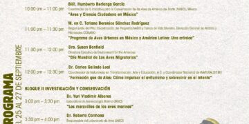 Presentan programa oficial del Primer Festival Internacional de las Aves Los Cabos 2025