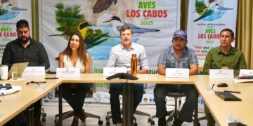 Los Cabos será sede del 1er Festival Internacional de las Aves