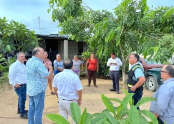 Supervisan avance de electrificación en colonia La Ballena en San José del Cabo