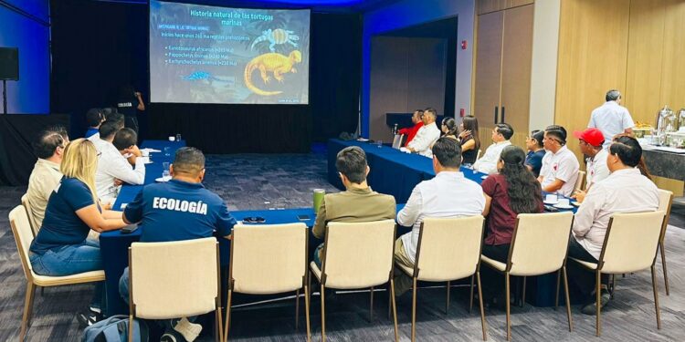 Imparten taller sobre conservación de la tortuga marina en Los Cabos