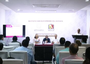 VALIDAN AVANCES DEL INSUDE EN MATERIA DEPORTIVA EN EL SUBCOMITÉ SECTORIAL