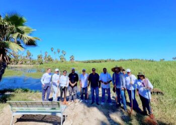 Refuerzan acciones integrales para conservación y cuidado del Estero de San José del Cabo