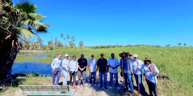 Refuerzan acciones integrales para conservación y cuidado del Estero de San José del Cabo